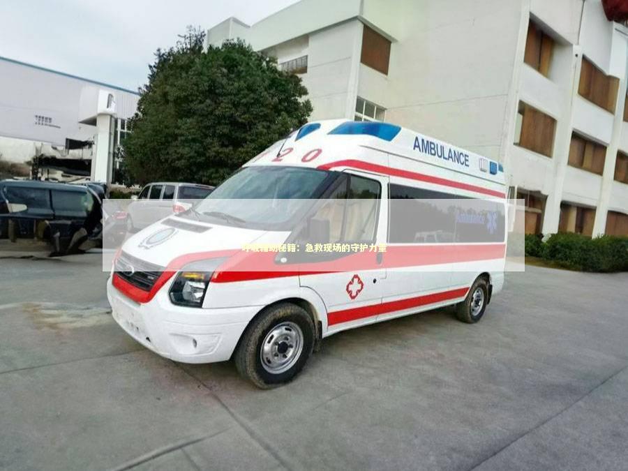 呼吸辅助秘籍：急救现场的守护力量 急救知识科普